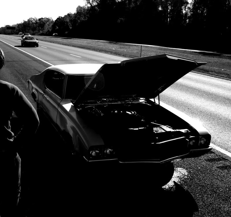 IMAGE: http://i29.photobucket.com/albums/c251/03_Track_Z/TBEnlarged/IMG_0721_01.jpg