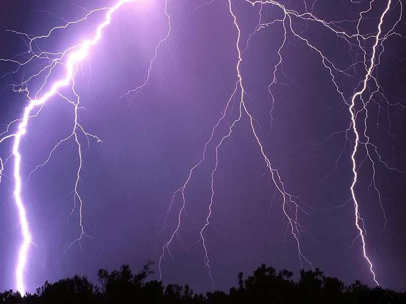thunderstorm - 25 Reasons Why Your Polyps Won't Expand