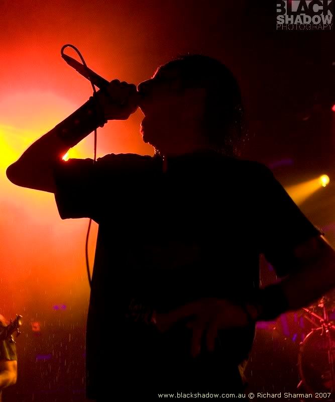 IMAGE: http://i29.photobucket.com/albums/c251/spindoctor66/Lamb%20of%20God/log55.jpg