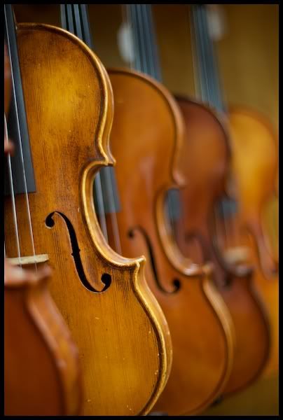 IMAGE: http://i29.photobucket.com/albums/c251/woolbr8stl/IMG_0345.jpg