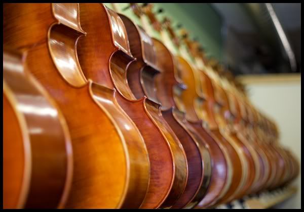 IMAGE: http://i29.photobucket.com/albums/c251/woolbr8stl/IMG_0363.jpg