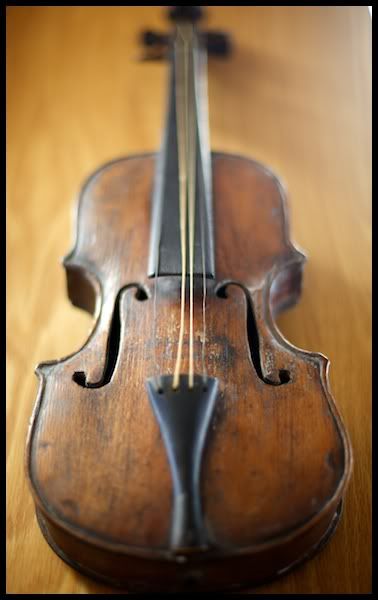 IMAGE: http://i29.photobucket.com/albums/c251/woolbr8stl/IMG_0395.jpg