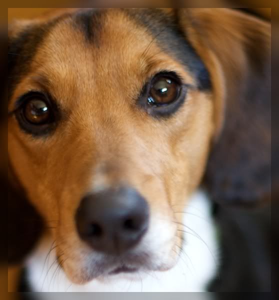 IMAGE: http://i29.photobucket.com/albums/c251/woolbr8stl/IMG_1038.jpg