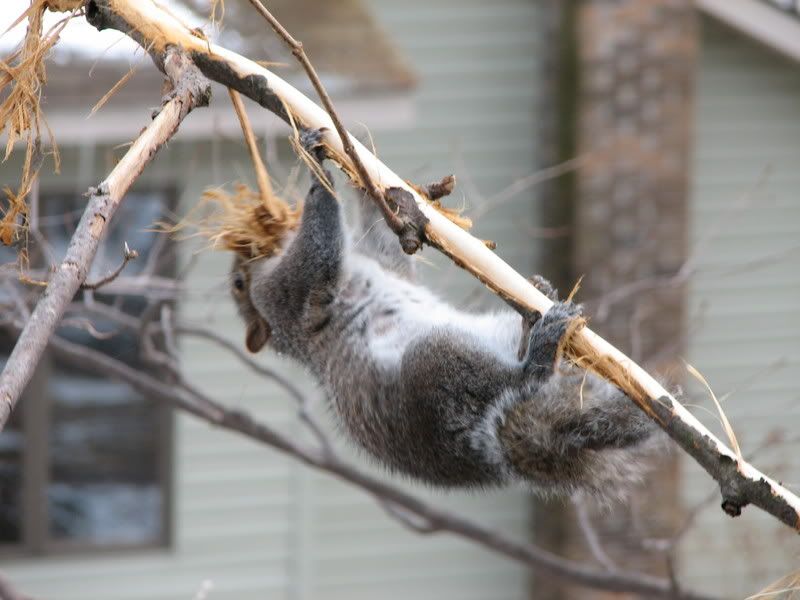 IMAGE: http://i29.photobucket.com/albums/c251/zach1288/IMG_0170.jpg