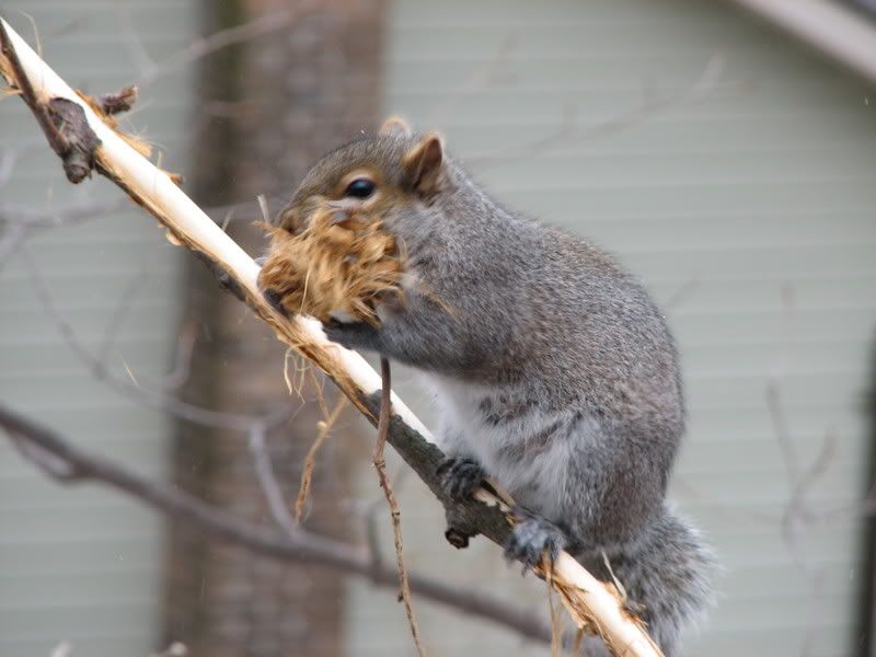 IMAGE: http://i29.photobucket.com/albums/c251/zach1288/IMG_0173.jpg