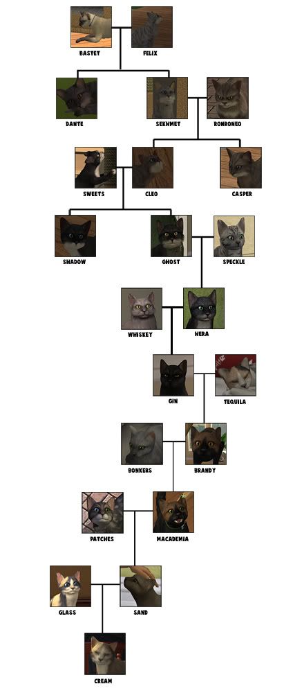 family tree 7