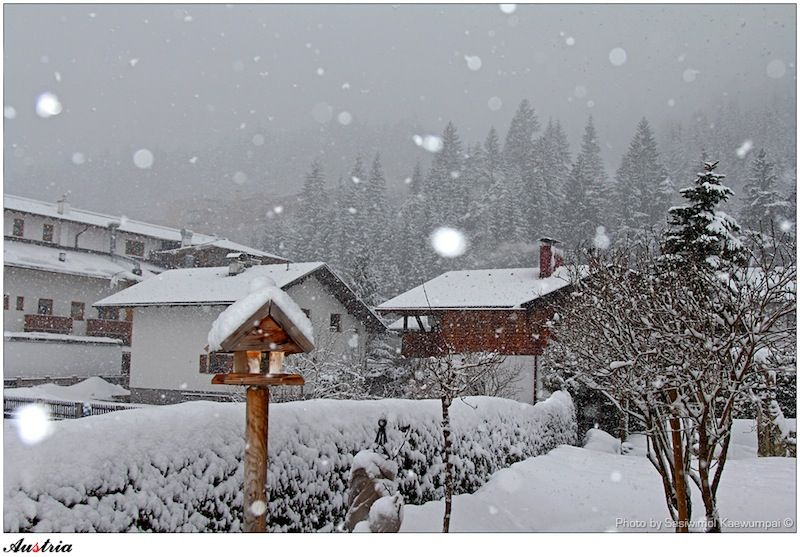   Snow in Tirol