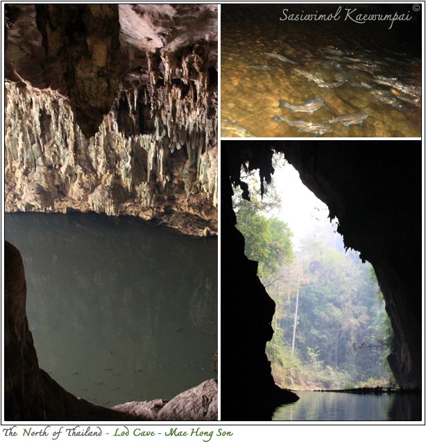 ʹ  . ͧ͹ - Tham Lod Cave : Maehongson