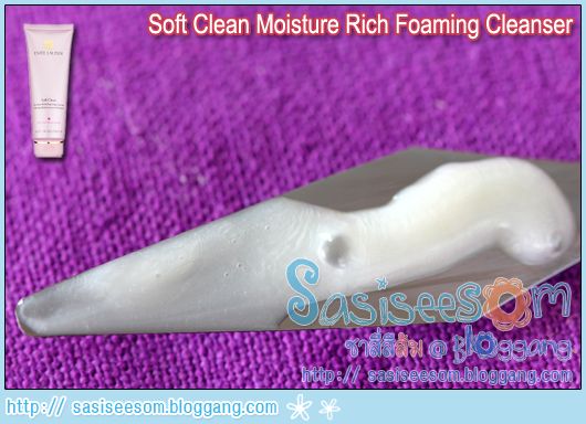 Estee Soft Clean Moisture Rich Foaming Cleanser