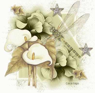 Dragonfly Floral Pictures, Images and Photos