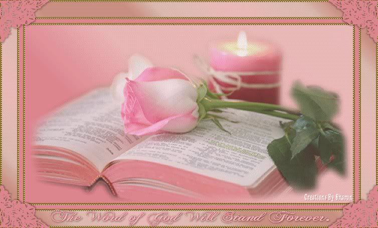 small pink bible