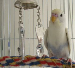 2007_1030bubs0050.jpg