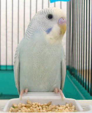 2006_0403Skyler0005.jpg