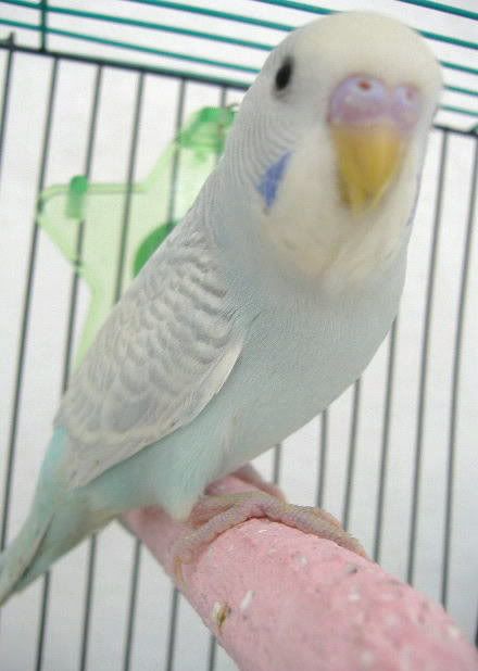 2006_0403Skyler0010.jpg