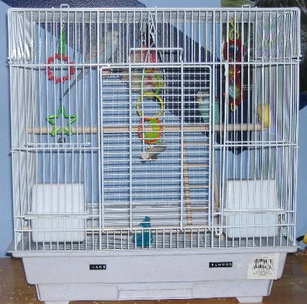 2006_0220cages0002.jpg