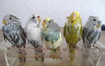 bathtime.jpg