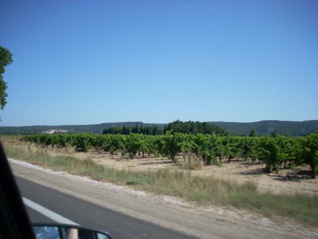 [Afbeelding: DSCN3126.jpg]
