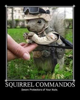 squirrel.jpg