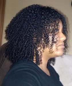Anyone with 3c / 4a Hair Care to Share Pics of Curly Primer or 