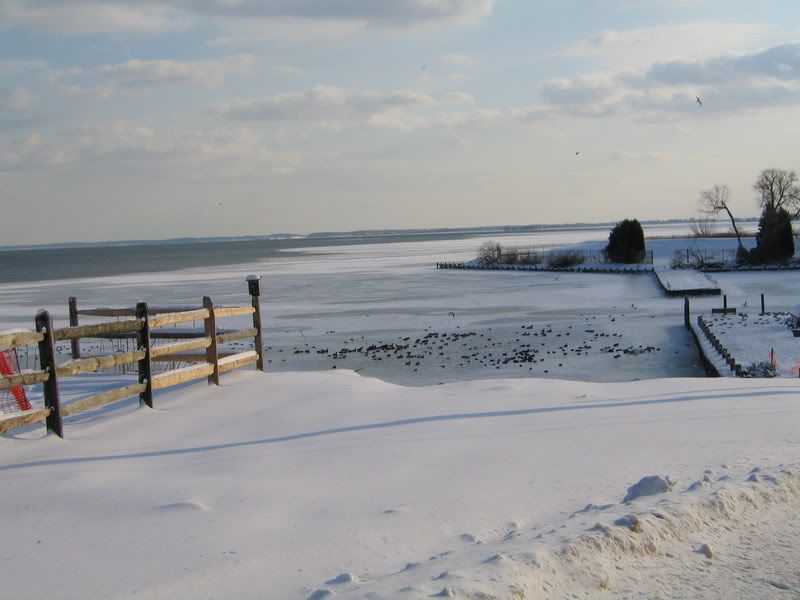 i104icedmarina006.jpg