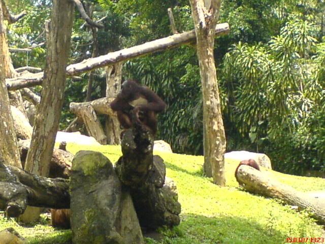 Photo Sharing and Video Hosting at Photobucket