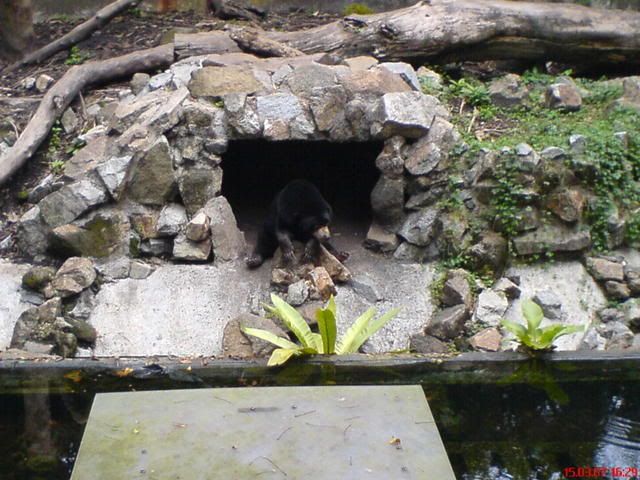 Photo Sharing and Video Hosting at Photobucket