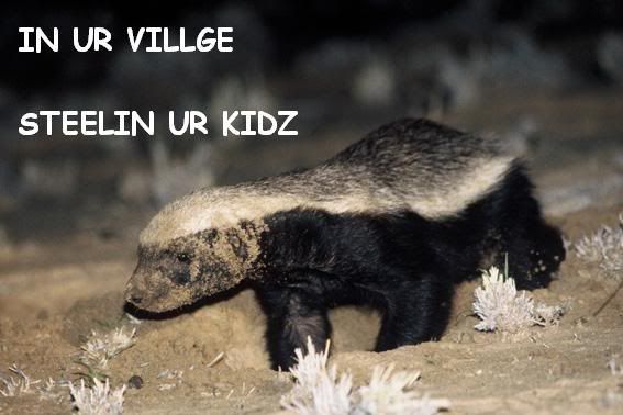 funny honey badger pictures. honey badger vs.