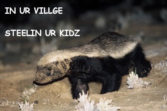 funny honey badger pictures. honey badger lion. honey