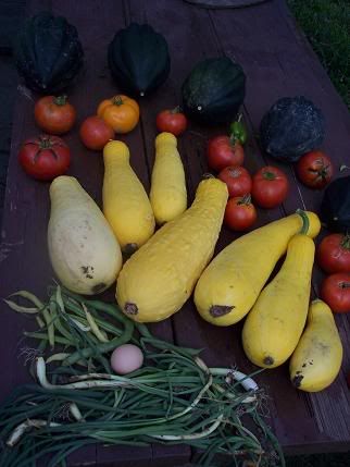 An AWESOME day at Happy Tales Farm! - Countryside Families