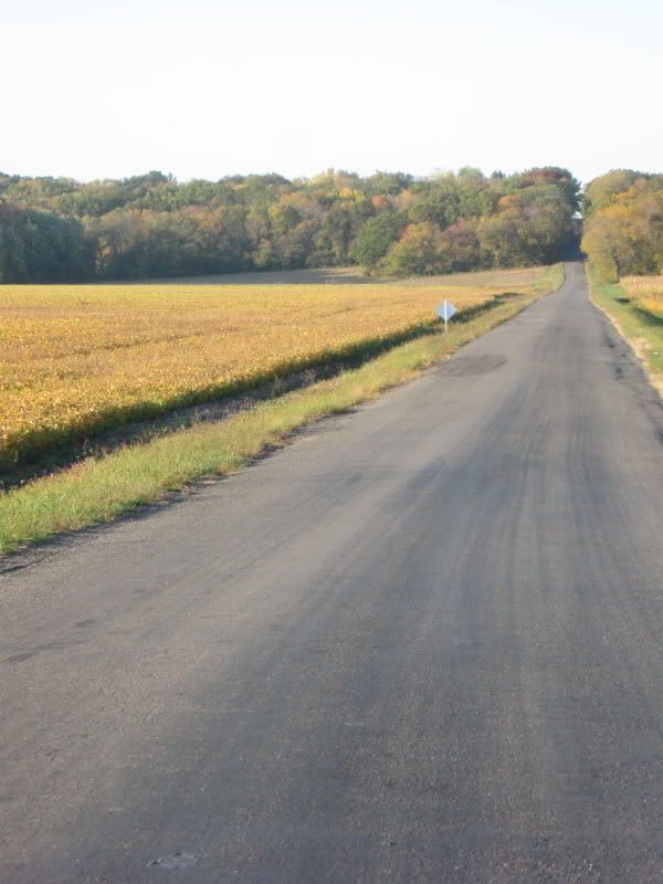 Changing perspective - Countryside Families
