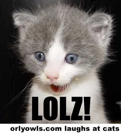 lolz cat Pictures, Images and Photos