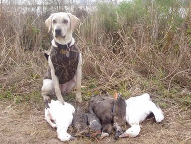 12135duck_hunt_12-28-04_katy.jpg