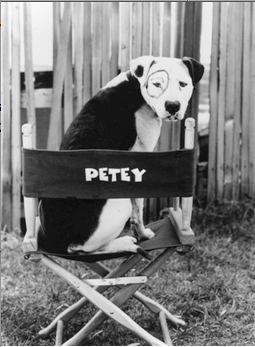 Petey Pictures, Images and Photos