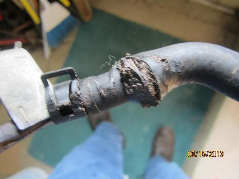  photo IMG_2161-20130326-073518.jpg