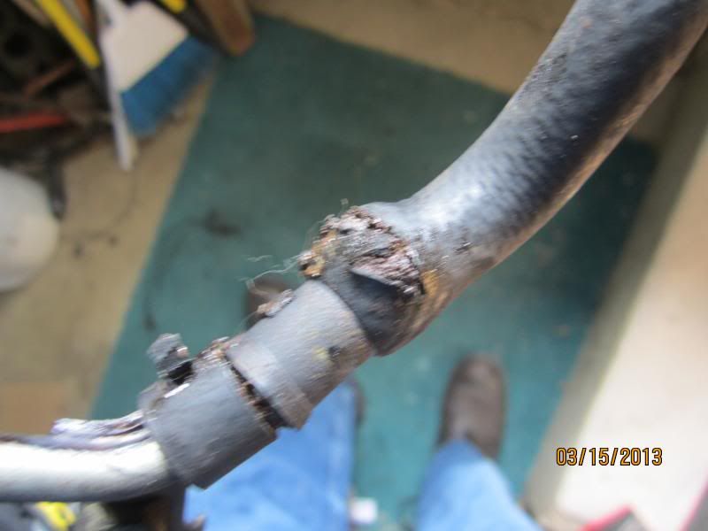  photo IMG_2162-20130326-073555.jpg