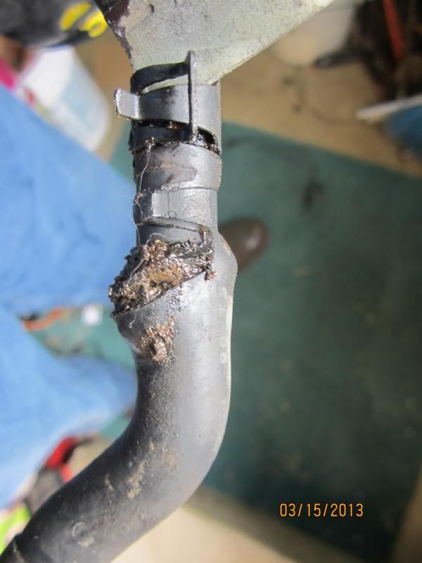  photo IMG_2164-20130326-073536.jpg