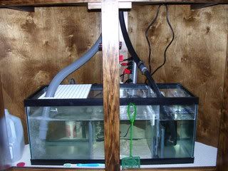 Sump4-21.jpg