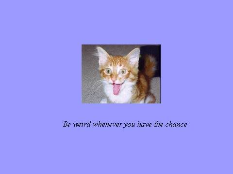 Photobucket - Video and Image Hosting