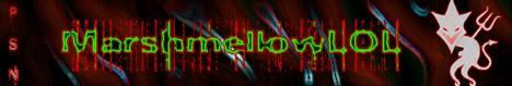 PSN Banner 2