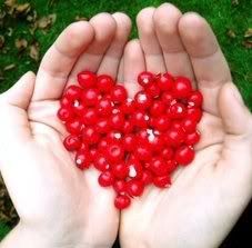 heart.jpg heart image by alexia12