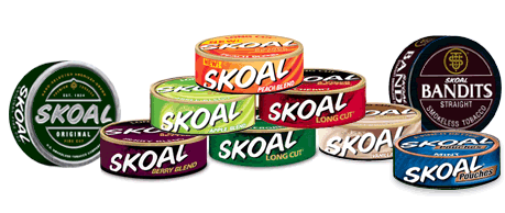 All Skoal Flavors