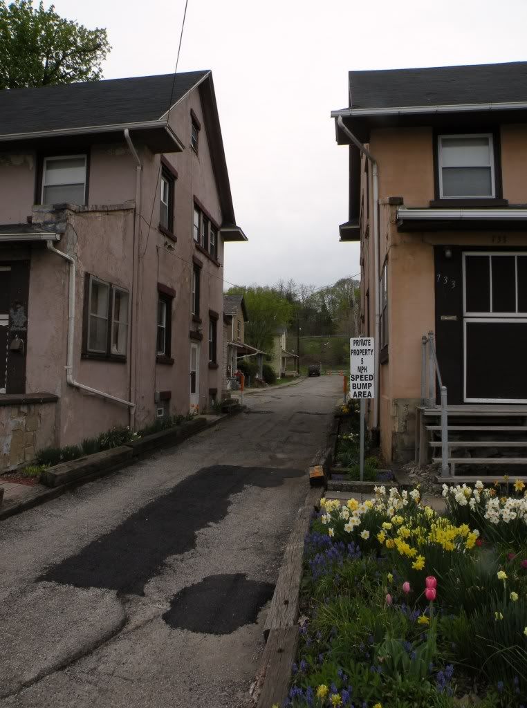 DSCN3678.jpg