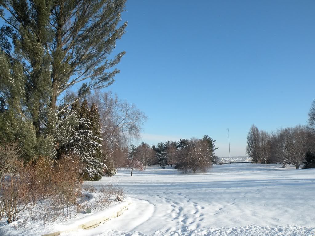 DSCN36091024x768.jpg