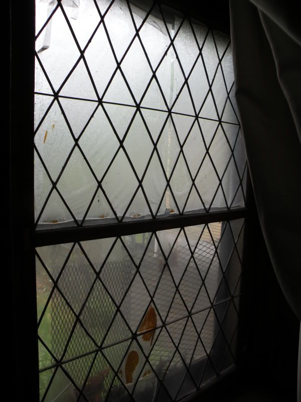 DSCN3719.jpg