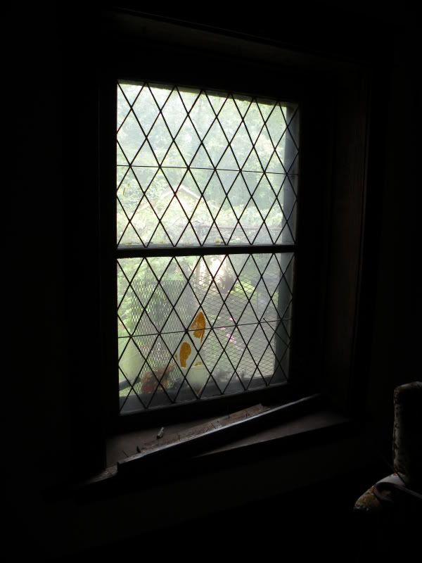 DSCN3930.jpg