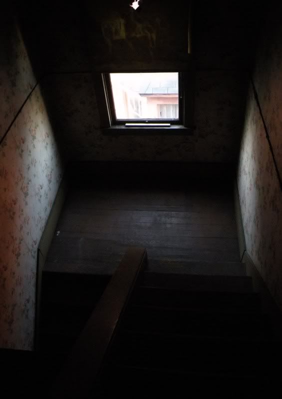 DSCN3949.jpg
