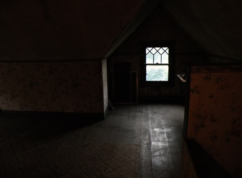 DSCN3950.jpg