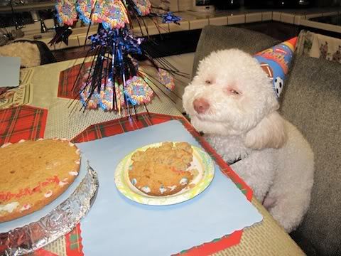 Ninja Birthday Party on Happy Birthday  Super Chill Dog