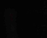 00577.mp4 video by luvbirds411