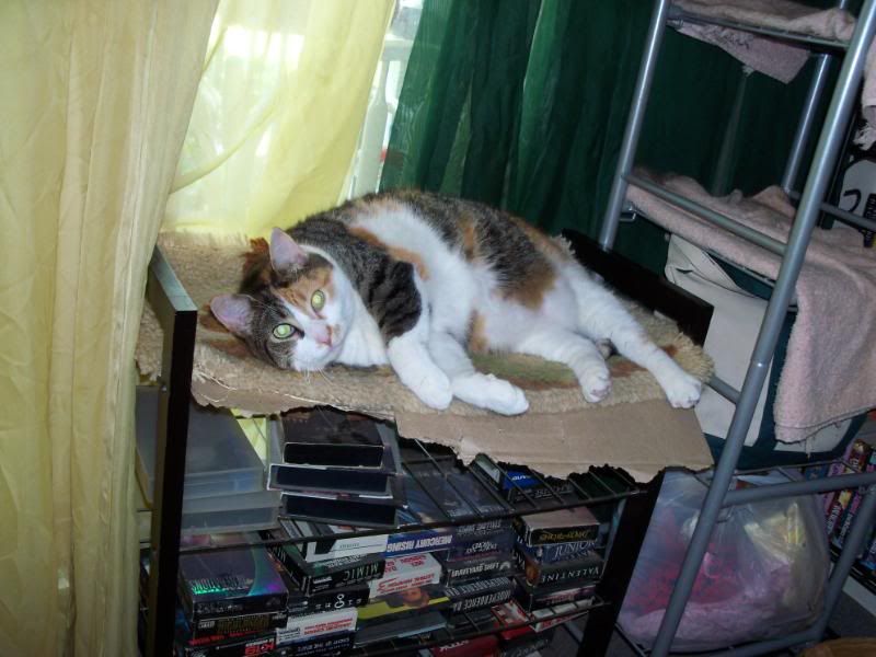 100_9222.jpg